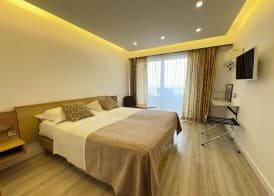 Hotel Panorama 5