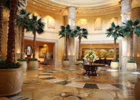 The Palace of the Lost City at Sun City Resort 2