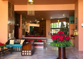 Basma Hotel Aswan 2