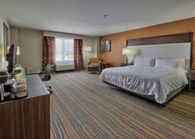 Holiday Inn & Suites ALBUQUERQUE-NORTH I-25 by IHG 5
