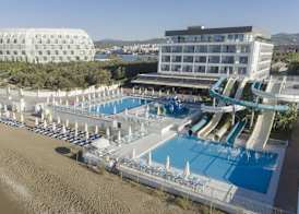 Lonicera West (Ex. Gold Island Family) 3