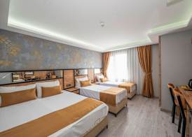 Boutique Dedem Hotel 5