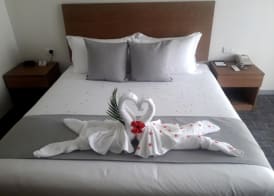 Nalagi Hotel 3