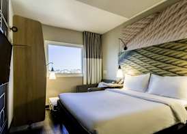 Ibis Americana 5