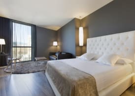 Hotel SB Plaza Europa 4