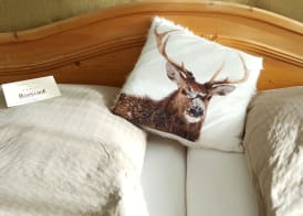 Hotel Hasselhof Garni Vier Sterne 4