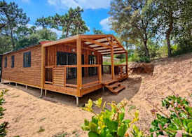 Le Domaine des Pins 5