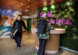 LyLo Queenstown 2