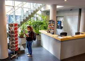 Youth Hostel van Gogh 2