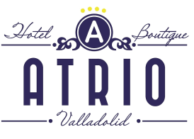 Hotel Boutique Atrio by anthology hoteles 4