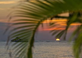 Kimpton SEAFIRE RESORT + SPA by IHG 5