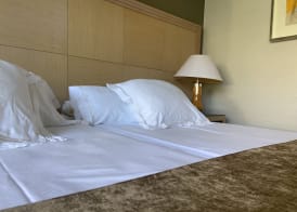 ArtPlatinum SUITES&APARTMENTS 3