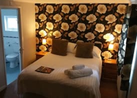 Hotel Plas Hyfryd 4