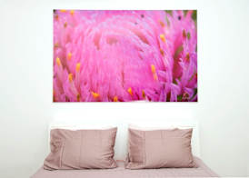 Galeria River 5