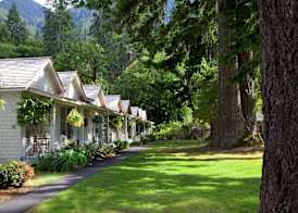 Lake Crescent Lodge 3
