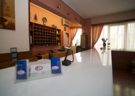 Anemoni Piraeus Hotel 2