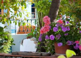 Hotel Alcadima 2
