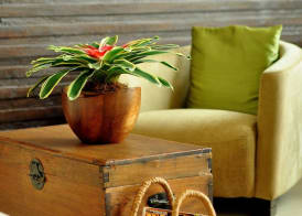 The Cocoon Boutique Hotel 3