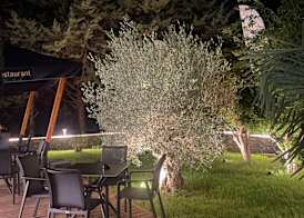 Lago Hotel & Spa - Adult Recommended 2