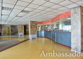 Ambassador 5