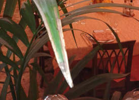 albergo del turista srl 2