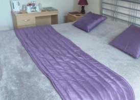 Bryn Coed Guest House 4