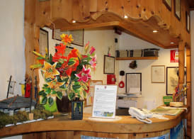 Hotel Villa Rina 2