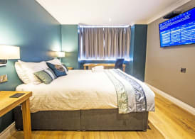 Dolphin Rooms 5