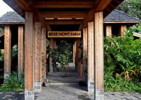 Belle Mont Sanctuary Resort - Kittitian Hill 3