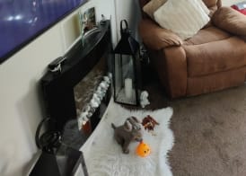 Captivating 1-bed Apartment in Bournemouth 3