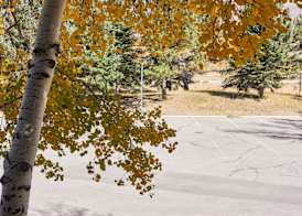 The Inn at Aspen 4