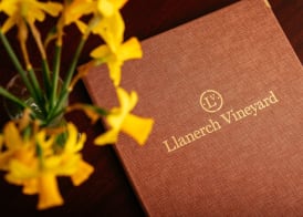 Llanerch Vineyard Hotel 2