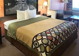 Belleza Inn & Suites Humble - FM 1960 5