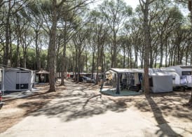 Camping Alannia Neptuno 2