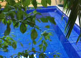 Hotel Las Salinas 2