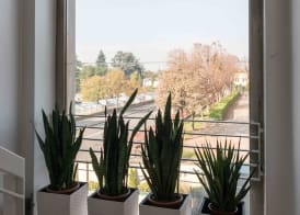 Berghotel 2