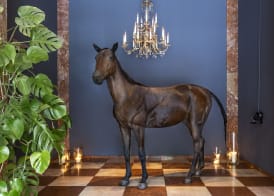 Grand Ferdinand Vienna – Your Hotel In The City Center 2