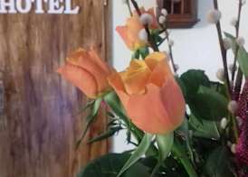 Hotel Bad Langensalza Eichenhof 2