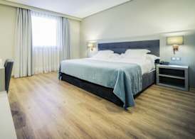 Hotel Carlton Rioja 3