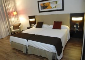 Hotel Asset Torrejón 4