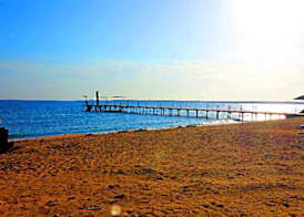 Viva Blue Resort and Diving Sharm El Naga (Adults Only) 5
