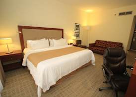 Holiday Inn LEON by IHG 3