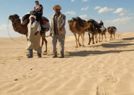 Hébergement Proche de Désert à Douz 5