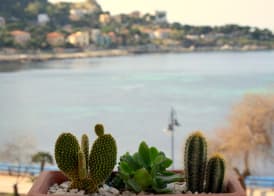 Palermo Mare Holidays 4
