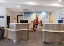 Best Western Plus Fort Worth North 3