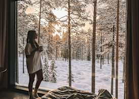 Invisible Forest Lodge & Spa 3