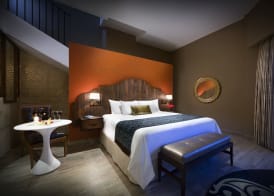 Hard Rock Hotel Riviera Maya - All Inclusive 5