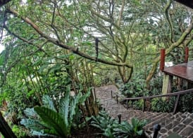 El Establo Mountain Hotel 2