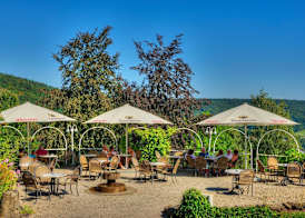 Waldhotel Sonnenberg 5