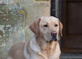 Buckland Manor - A Relais & Chateaux Hotel 3